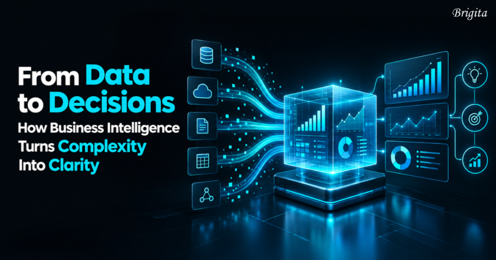 Brigita Business Intelligence turning complex enterprise data into clear business insights